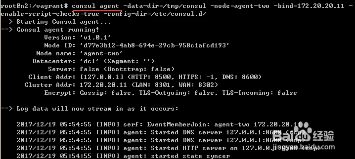 Consul学习之Consul集群_04