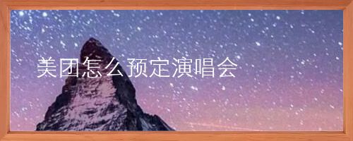 美团怎么预定演唱会