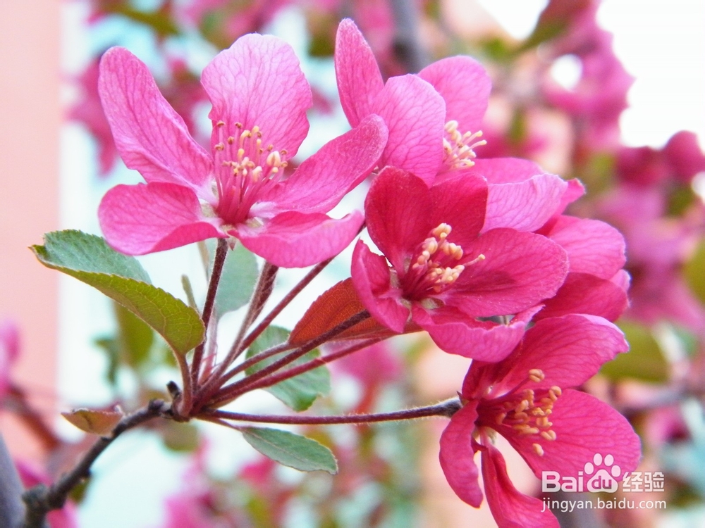 如何在职场和同事相处