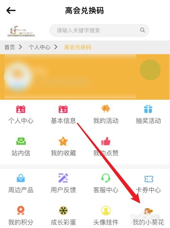 小葵花怎么获得