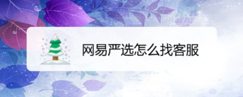 网易严选怎么找客服