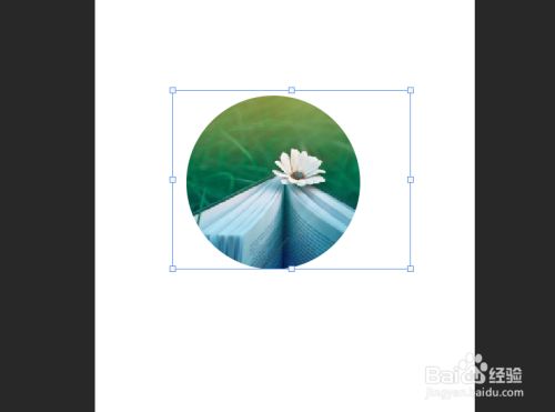ps怎么把图片放进圆圈里