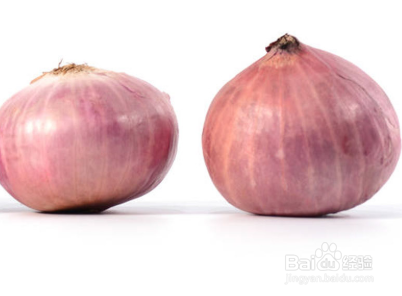 圆葱种植方法与时间植技术