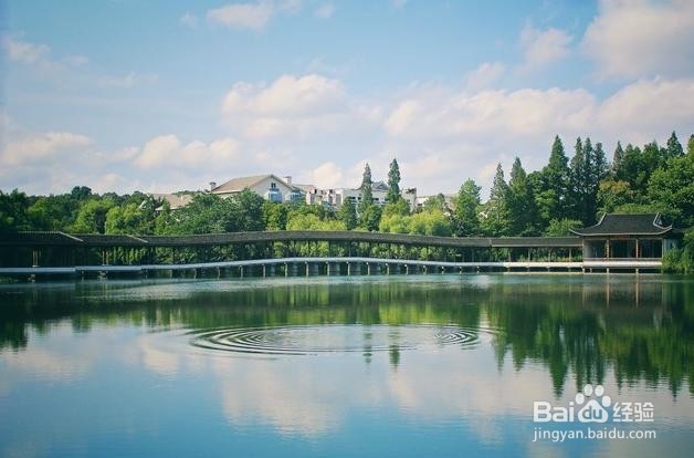 元旦假期注意事项