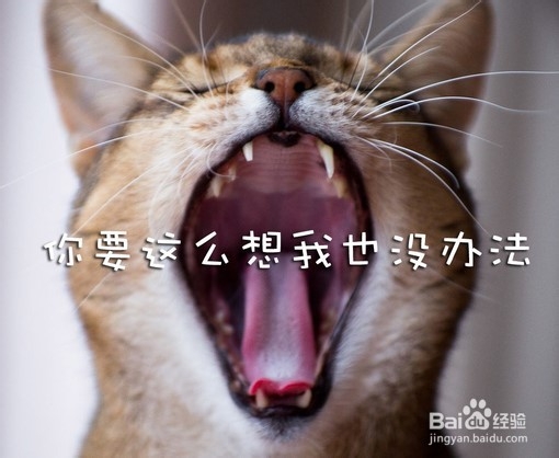 交往中最忌讳说的话