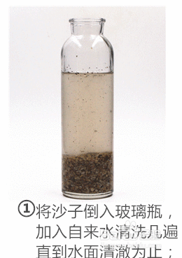 泰国斗鱼创意水族迷你生态瓶制作图文教程