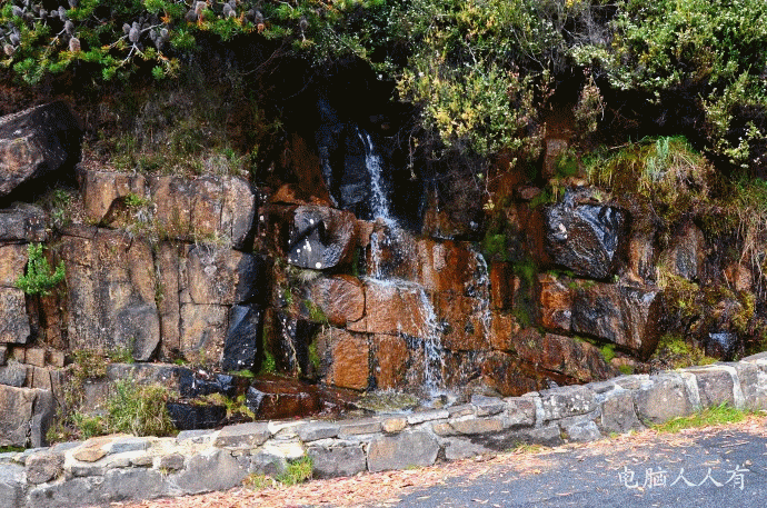 澳洲游记：[11]登临南天第一峰