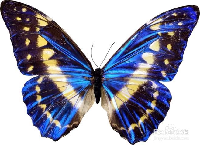 养老机构如何开展安宁疗护