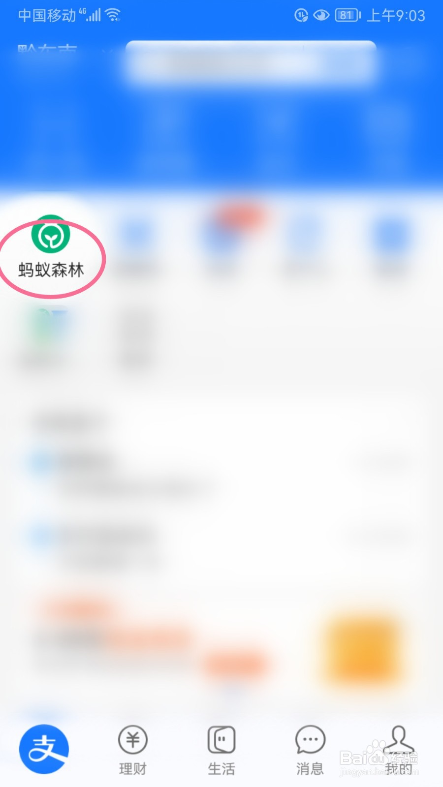 蚂蚁森林如何移出合种成员