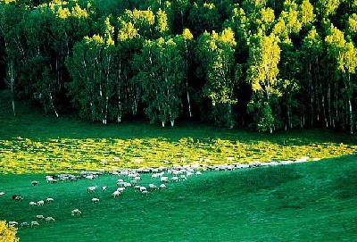 内蒙木兰围场户外旅游攻略