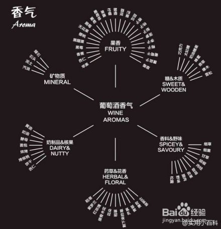 超赞的葡萄酒基础小知识