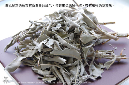 香烟袅袅鼠尾草焚香法