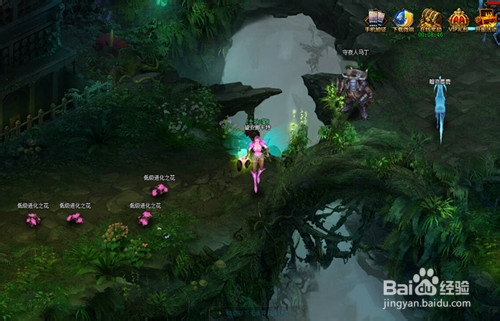 暗夜之神如何拾取和整理掉落物品