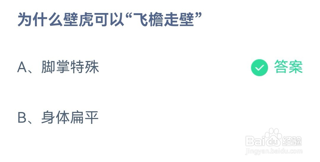 蚂蚁庄园为什么壁虎可以飞檐走壁
