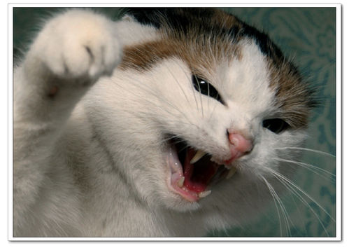 怎样根据不同的拍摄题材来设置相机