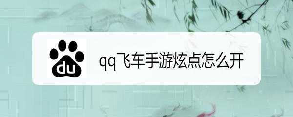 <b>qq飞车手游炫点怎么开</b>