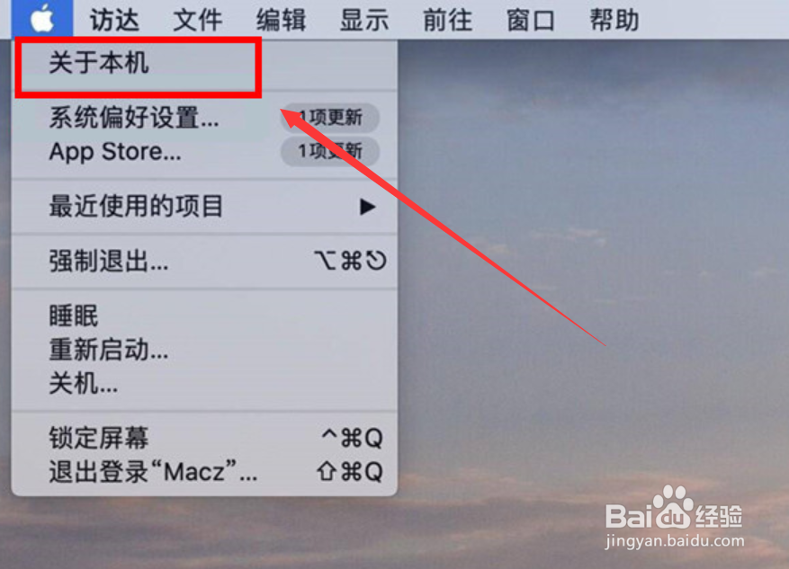 苹果电脑内存在哪里看
