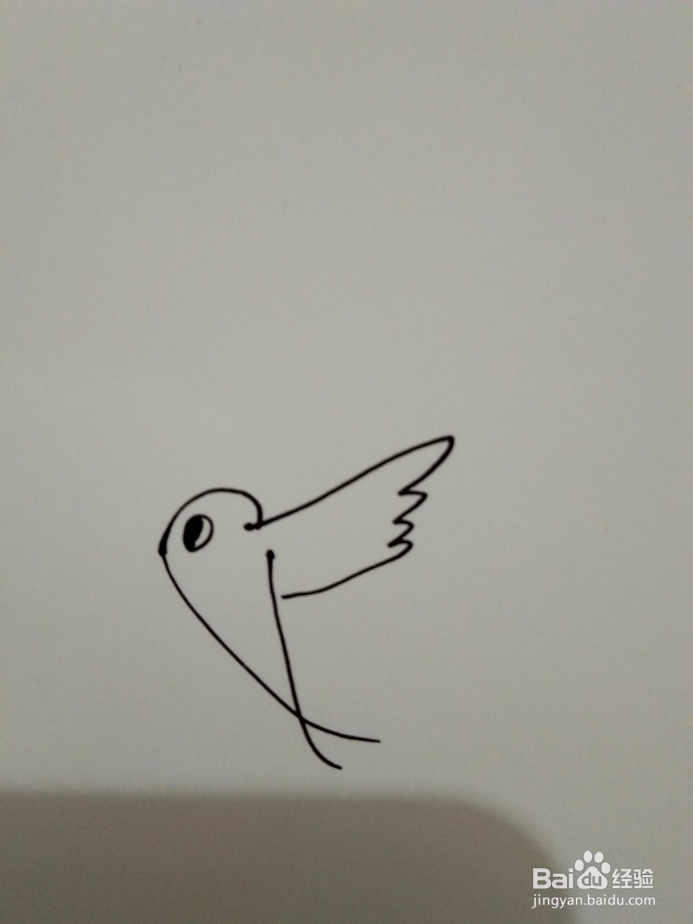如何画简笔画的飞鸟