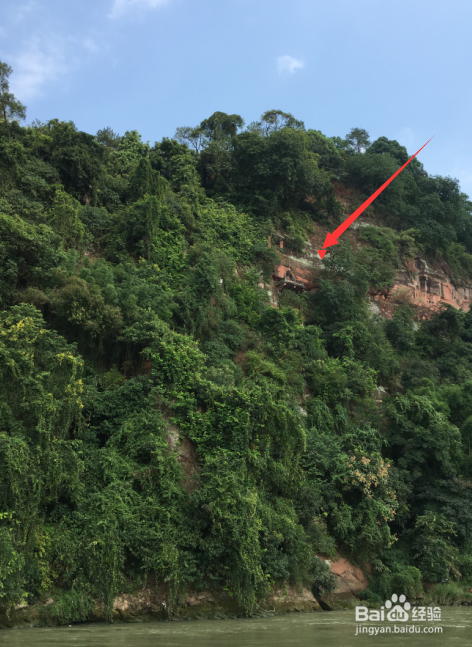成都到乐山大佛旅游攻略