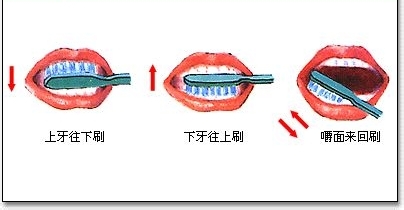 生活的小帮手之三则