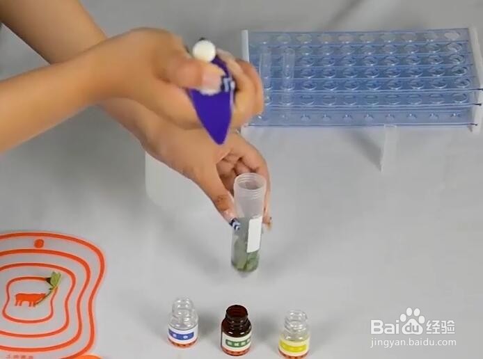 农药残留速测仪怎么用?操作步骤是什么