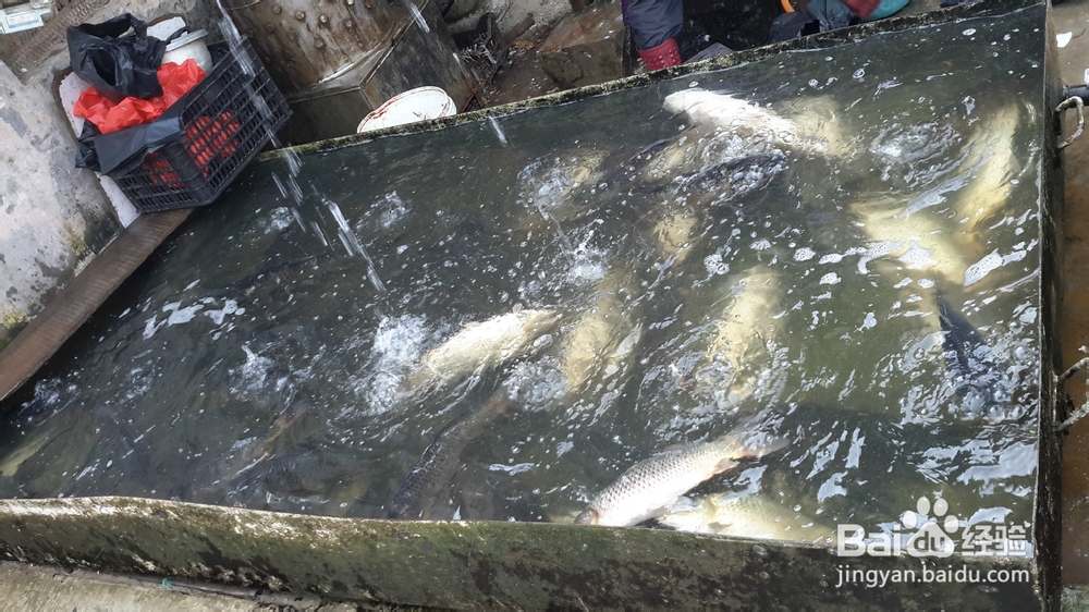 如何选择过节礼品