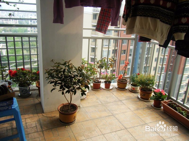 好的衣服怎样清洗才能更加的耐穿呢?