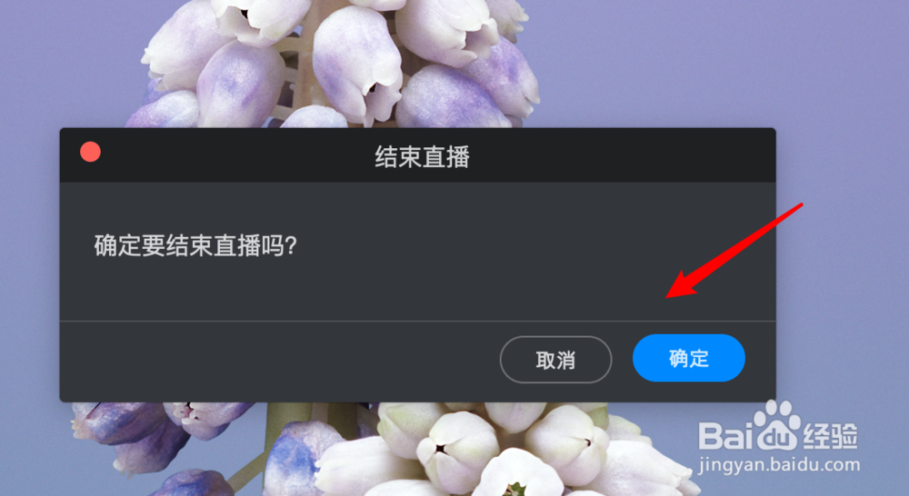 mac版钉钉发起群直播后如何结束直播