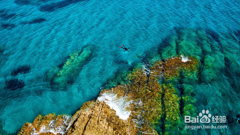 如何获取必应（Bing）搜索页面美图