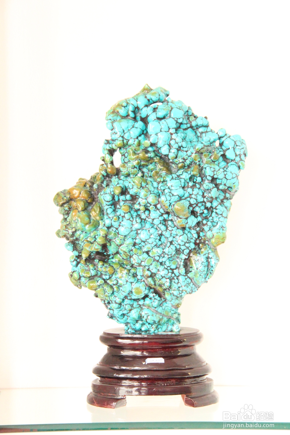 永康松化石与松石文化