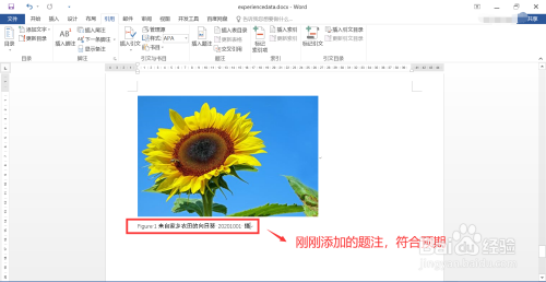 在word文檔中如何為圖片或表格添加題注信息