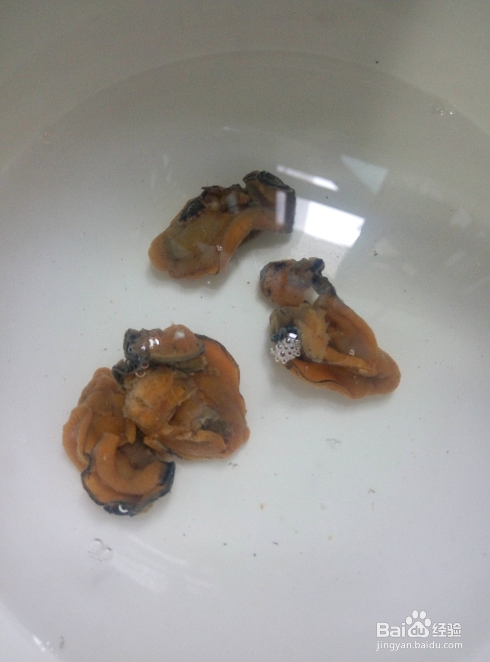 简单的煮面条做法