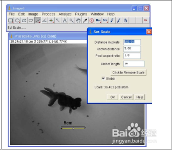 如何测定图片中物体的大小?