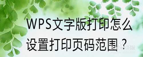 wps文字版打印怎麼設置打印頁碼範圍?