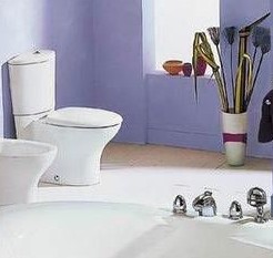 卫浴完美设计10小点须注意