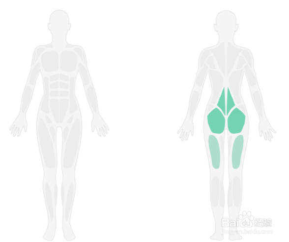 训练前综合热身