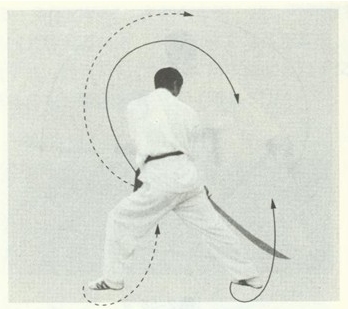 赵堡太极双刀之双刀屠龙图解