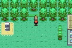 口袋妖怪圣灰攻略图片5