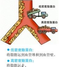 你不知道的茶水煮饭绝妙用途