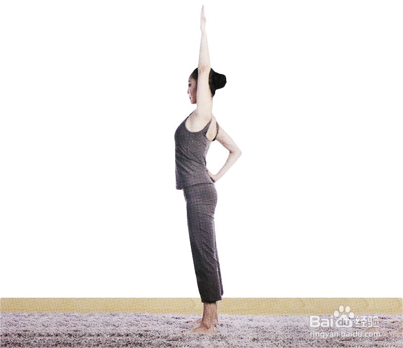 脊椎后弯式（正位）