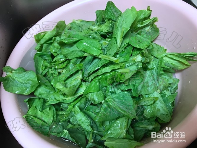 怎么煮蒜蓉炒豆苗
