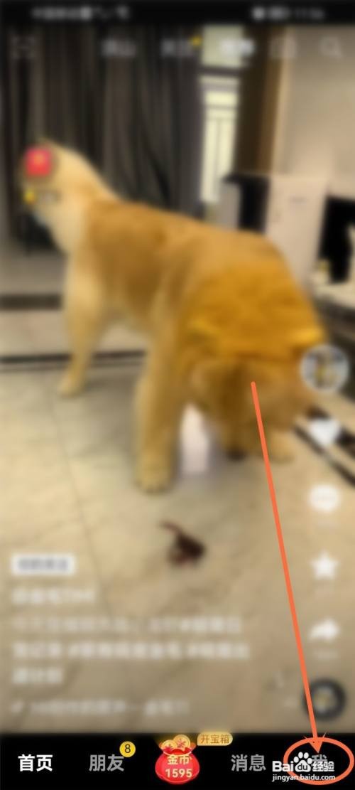 抖音极速版怎么不留下访客记录