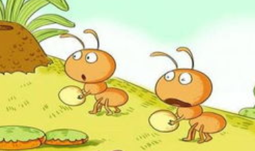 蚂蚁下雨天搬家的原因