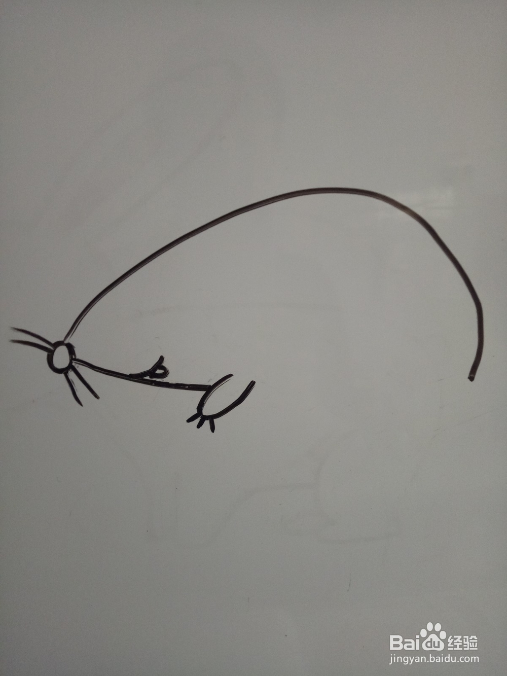 简单的画只小老鼠