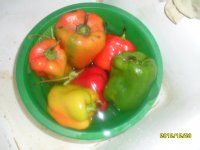 彩椒炒双耳的做法