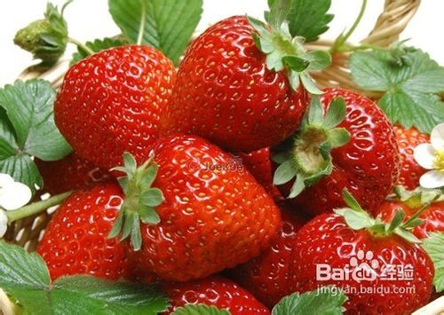 春天五种水果宝宝不能多吃