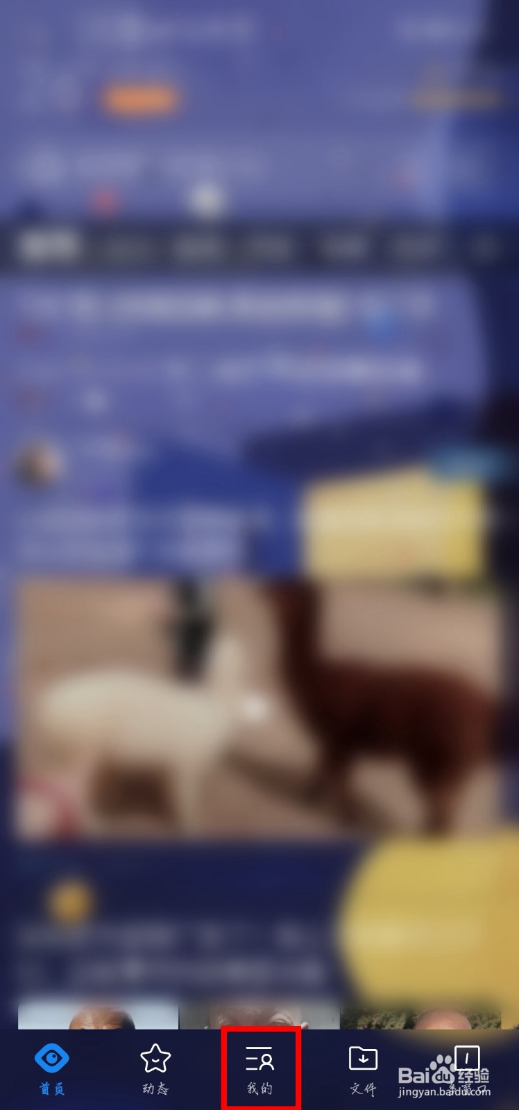 QQ浏览器在移动网络下不想看到图片怎么办