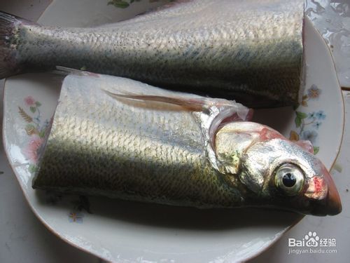 煎白条