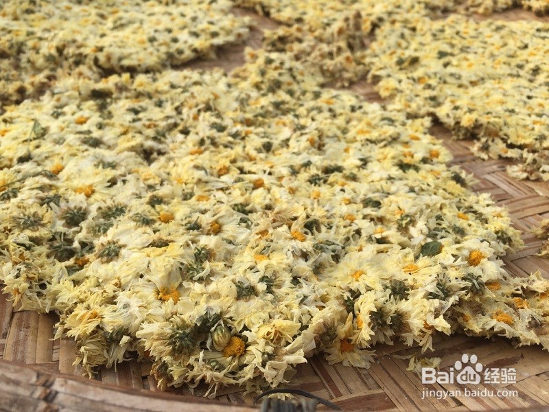 杭菊的功效与作用