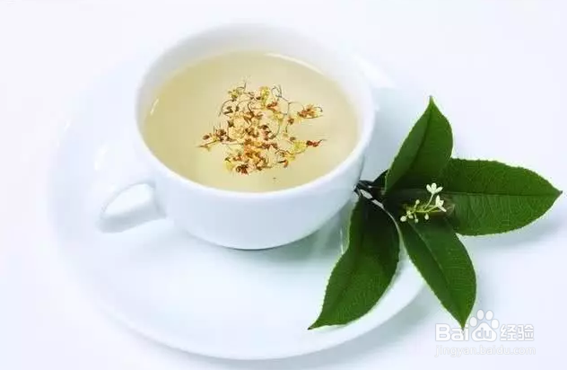 百结叶桂花茶的制作方法和作用